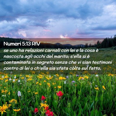 Picture 02 - Numeri 5:13 RIV - se uno ha relazioni carnali con lei e la cosa è - Bible Verse Picture