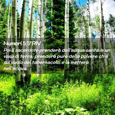 Picture 02 - Numeri 5:17 RIV - Poi il sacerdote prenderà dell’acqua santa in - Bible Verse Picture