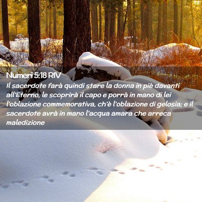 Picture 02 - Numeri 5:18 RIV - Il sacerdote farà quindi stare la donna in piè - Bible Verse Picture