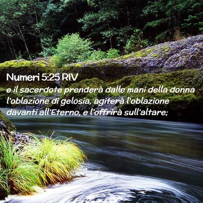 Picture 02 - Numeri 5:25 RIV - e il sacerdote prenderà dalle mani della donna - Bible Verse Picture