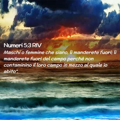 Picture 02 - Numeri 5:3 RIV - Maschi o femmine che siano, li manderete fuori; - Bible Verse Picture