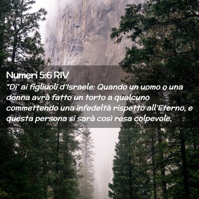 Picture 02 - Numeri 5:6 RIV - “Di’ ai figliuoli d’Israele: Quando un uomo - Bible Verse Picture