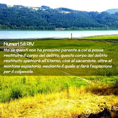 Picture 02 - Numeri 5:8 RIV - Ma se questi non ha prossimo parente a cui si - Bible Verse Picture