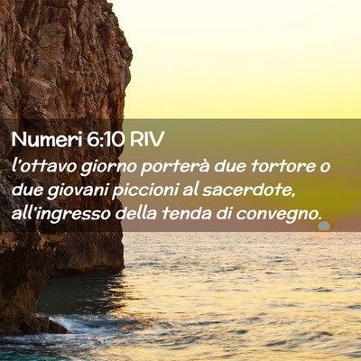 Picture 02 - Numeri 6:10 RIV - l’ottavo giorno porterà due tortore o due - Bible Verse Picture