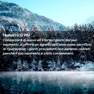 Picture 02 - Numeri 6:12 RIV - Consacrerà di nuovo all’Eterno i giorni del - Bible Verse Picture