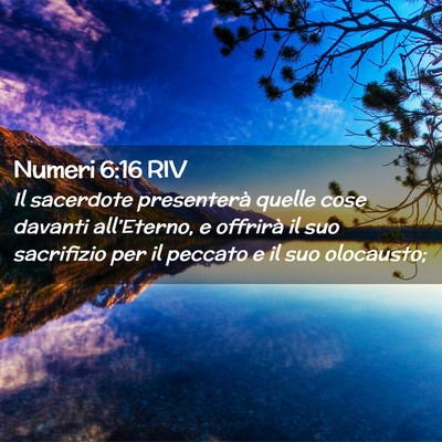Picture 02 - Numeri 6:16 RIV - Il sacerdote presenterà quelle cose davanti - Bible Verse Picture