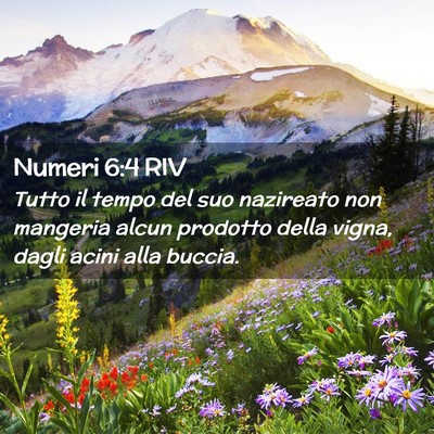 Picture 02 - Numeri 6:4 RIV - Tutto il tempo del suo nazireato non mangeria - Bible Verse Picture