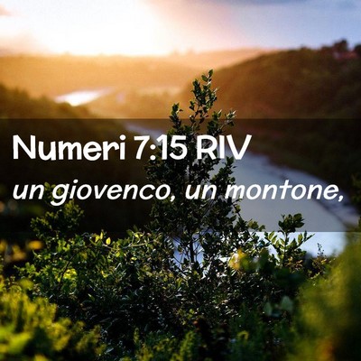 Picture 02 - Numeri 7:15 RIV - un giovenco, un - Bible Verse Picture