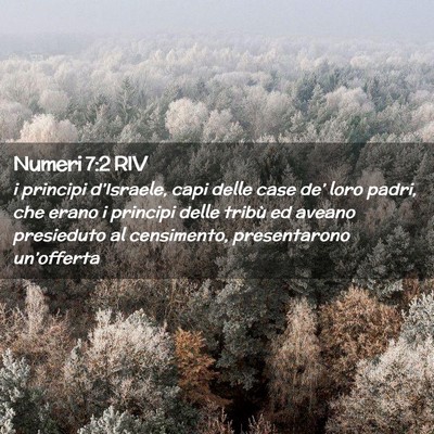 Picture 02 - Numeri 7:2 RIV - i principi d’Israele, capi delle case de’ - Bible Verse Picture