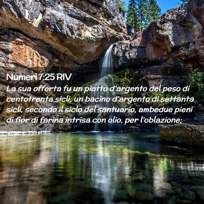 Picture 02 - Numeri 7:25 RIV - La sua offerta fu un piatto d’argento del peso - Bible Verse Picture