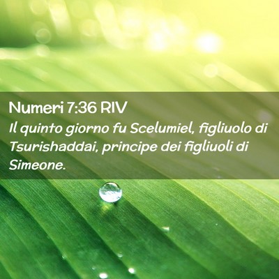 Picture 02 - Numeri 7:36 RIV - Il quinto giorno fu Scelumiel, figliuolo di - Bible Verse Picture