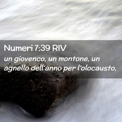Picture 02 - Numeri 7:39 RIV - un giovenco, un montone, un agnello dell’anno - Bible Verse Picture