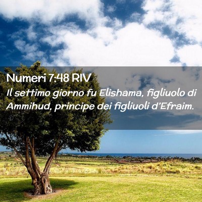 Picture 02 - Numeri 7:48 RIV - Il settimo giorno fu Elishama, figliuolo di - Bible Verse Picture