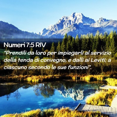 Picture 02 - Numeri 7:5 RIV - “Prendili da loro per impiegarli al servizio - Bible Verse Picture