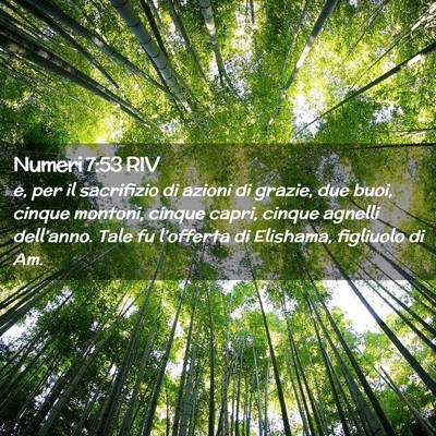 Picture 02 - Numeri 7:53 RIV - e, per il sacrifizio di azioni di grazie, due - Bible Verse Picture