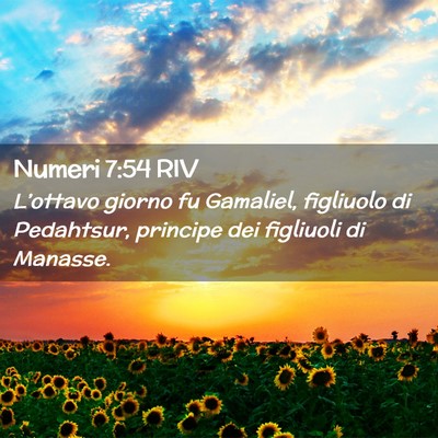 Picture 02 - Numeri 7:54 RIV - L’ottavo giorno fu Gamaliel, figliuolo di - Bible Verse Picture