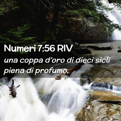Picture 02 - Numeri 7:56 RIV - una coppa d’oro di dieci sicli piena di - Bible Verse Picture