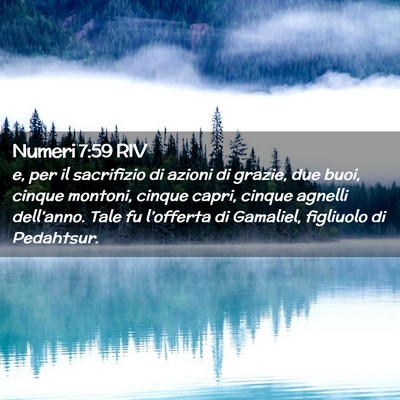Picture 02 - Numeri 7:59 RIV - e, per il sacrifizio di azioni di grazie, due - Bible Verse Picture