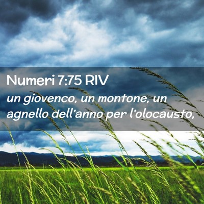 Picture 02 - Numeri 7:75 RIV - un giovenco, un montone, un agnello dell’anno - Bible Verse Picture