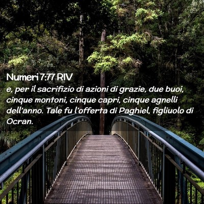 Picture 02 - Numeri 7:77 RIV - e, per il sacrifizio di azioni di grazie, due - Bible Verse Picture