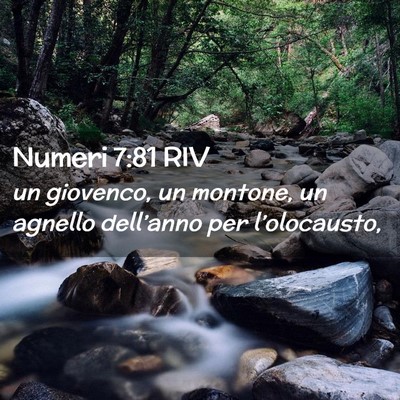 Picture 02 - Numeri 7:81 RIV - un giovenco, un montone, un agnello dell’anno - Bible Verse Picture