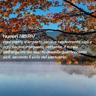 Picture 02 - Numeri 7:85 RIV - ogni piatto d’argento pesava centotrenta sicli - Bible Verse Picture