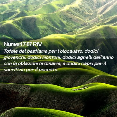 Picture 02 - Numeri 7:87 RIV - Totale del bestiame per l’olocausto: dodici - Bible Verse Picture