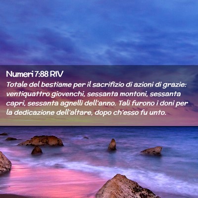 Picture 02 - Numeri 7:88 RIV - Totale del bestiame per il sacrifizio di azioni - Bible Verse Picture