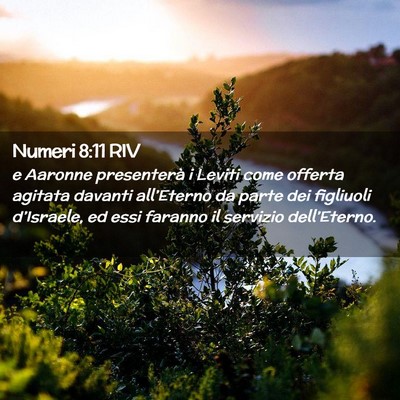 Picture 02 - Numeri 8:11 RIV - e Aaronne presenterà i Leviti come offerta - Bible Verse Picture