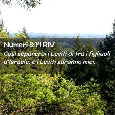 Picture 02 - Numeri 8:14 RIV - Così separerai i Leviti di tra i figliuoli - Bible Verse Picture
