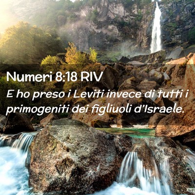 Picture 02 - Numeri 8:18 RIV - E ho preso i Leviti invece di tutti i primogeniti - Bible Verse Picture