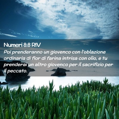 Picture 02 - Numeri 8:8 RIV - Poi prenderanno un giovenco con l’oblazione - Bible Verse Picture