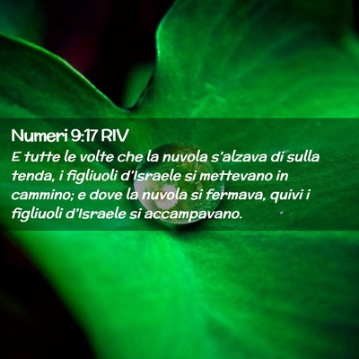 Picture 02 - Numeri 9:17 RIV - E tutte le volte che la nuvola s’alzava di - Bible Verse Picture