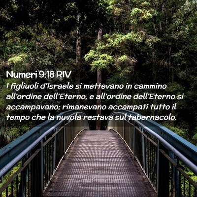 Picture 02 - Numeri 9:18 RIV - I figliuoli d’Israele si mettevano in cammino - Bible Verse Picture