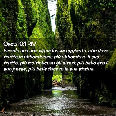 Picture 02 - Osea 10:1 RIV - Israele era una vigna lussureggiante, che dava - Bible Verse Picture