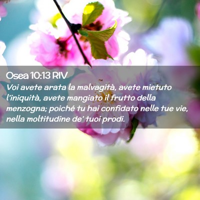 Picture 02 - Osea 10:13 RIV - Voi avete arata la malvagità, avete mietuto - Bible Verse Picture