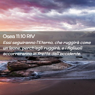 Picture 02 - Osea 11:10 RIV - Essi seguiranno l’Eterno, che ruggirà come un - Bible Verse Picture