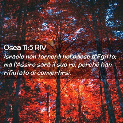 Picture 02 - Osea 11:5 RIV - Israele non tornerà nel paese d’Egitto; ma - Bible Verse Picture