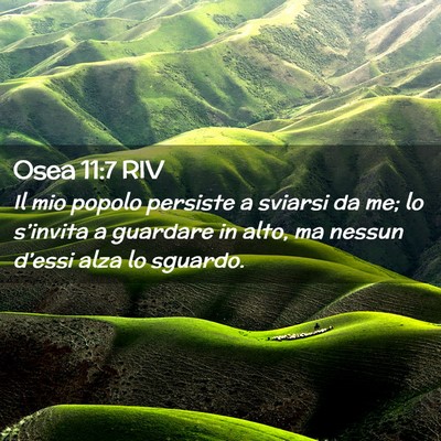 Picture 02 - Osea 11:7 RIV - Il mio popolo persiste a sviarsi da me; lo - Bible Verse Picture