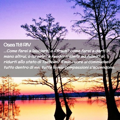 Picture 02 - Osea 11:8 RIV - …Come farei a lasciarti, o Efraim? come farei a - Bible Verse Picture