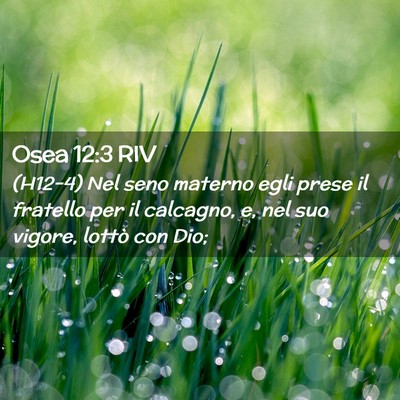 Picture 02 - Osea 12:3 RIV - (H12-4) Nel seno materno egli prese il fratello - Bible Verse Picture