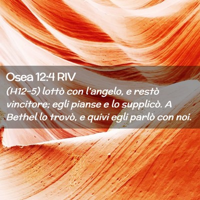 Picture 02 - Osea 12:4 RIV - (H12-5) lottò con l’angelo, e restò - Bible Verse Picture