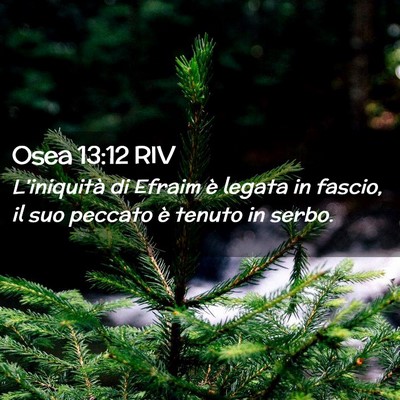 Picture 02 - Osea 13:12 RIV - L’iniquità di Efraim è legata in fascio, il - Bible Verse Picture