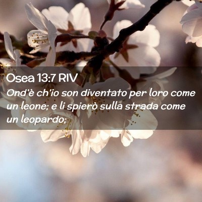 Picture 02 - Osea 13:7 RIV - Ond’è ch’io son diventato per loro come un - Bible Verse Picture