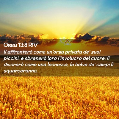 Picture 02 - Osea 13:8 RIV - li affronterò come un’orsa privata de’ suoi - Bible Verse Picture