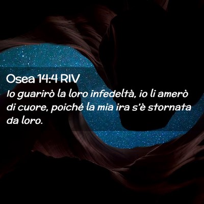 Picture 02 - Osea 14:4 RIV - Io guarirò la loro infedeltà, io li amerò di - Bible Verse Picture