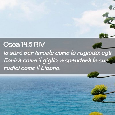 Picture 02 - Osea 14:5 RIV - Io sarò per Israele come la rugiada; egli - Bible Verse Picture