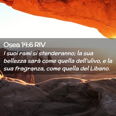 Picture 02 - Osea 14:6 RIV - I suoi rami si stenderanno; la sua bellezza sarà - Bible Verse Picture