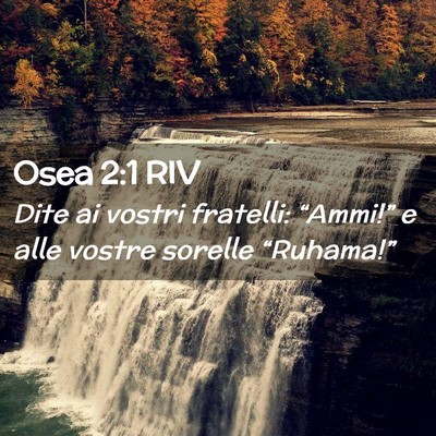 Picture 02 - Osea 2:1 RIV - Dite ai vostri fratelli: “Ammi!” e alle - Bible Verse Picture