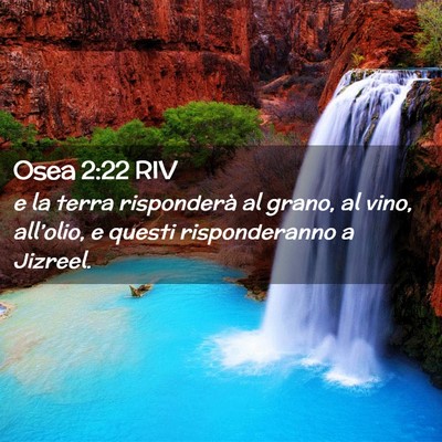 Picture 02 - Osea 2:22 RIV - e la terra risponderà al grano, al vino, - Bible Verse Picture